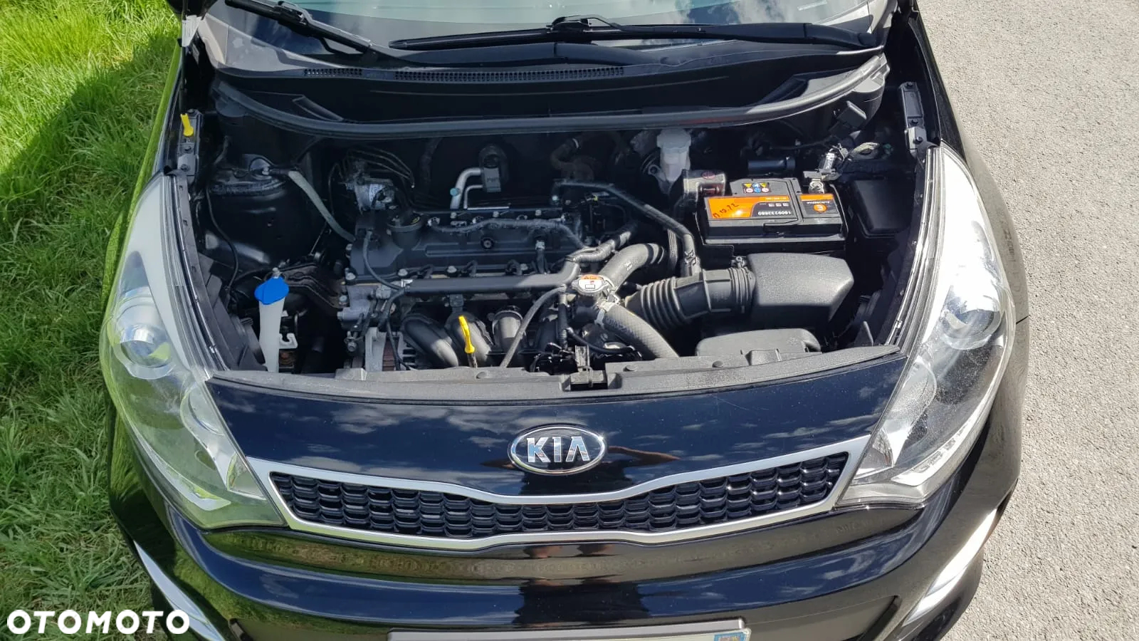 Kia Rio - 29