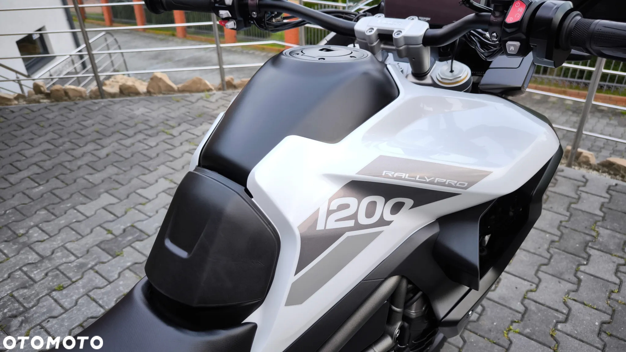 Triumph Tiger - 17