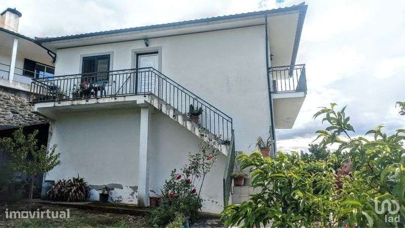 Quinta vinhateira com moradia e adega - Grande imagem: 2/11