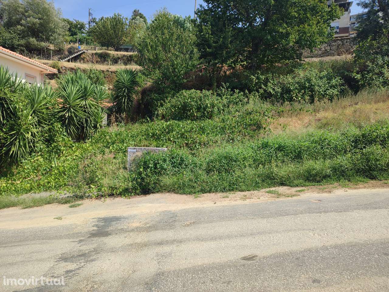 Lote para construção de moradia com 4 frentes, junto ao Rio Douro - Grande imagem: 5/11