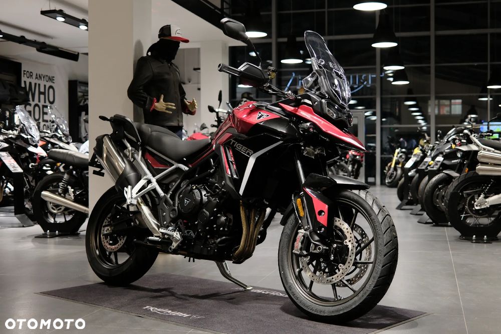 Triumph Tiger - 1