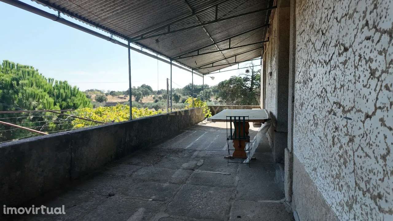 Oportunidade! Quinta S. Bartolomeu, Castelo Branco - Grande imagem: 5/20