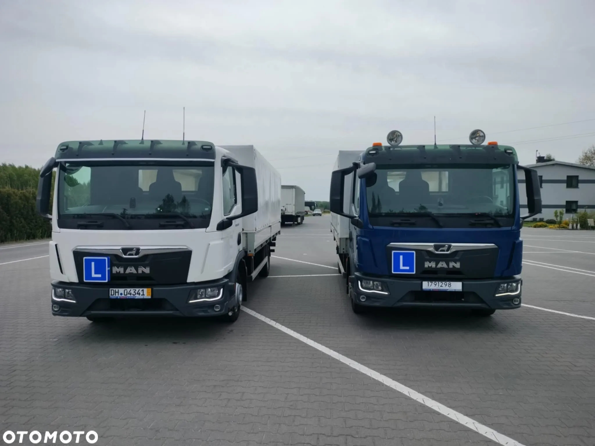 MAN TGL - 5