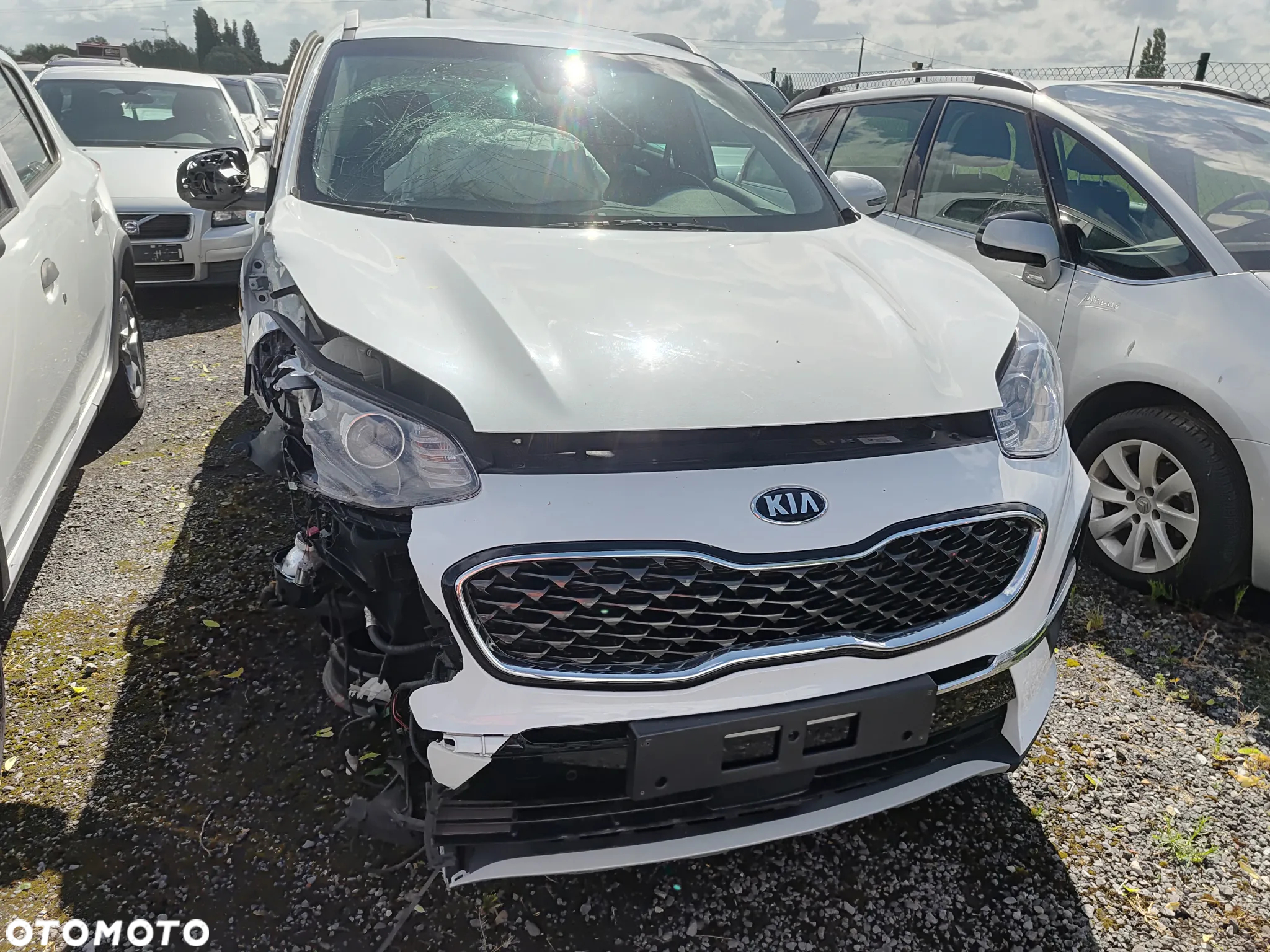 Kia Sportage 1.6 CRDI L Business Line 2WD DCT - 3