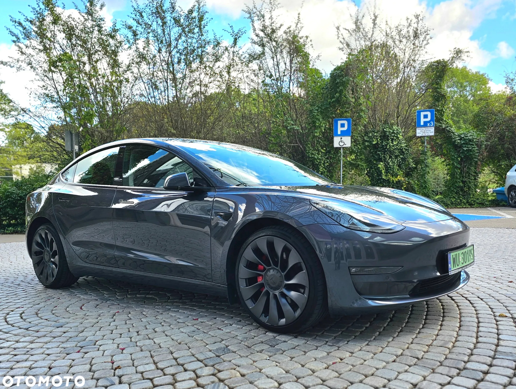 Tesla Model 3 Performance AWD - 8