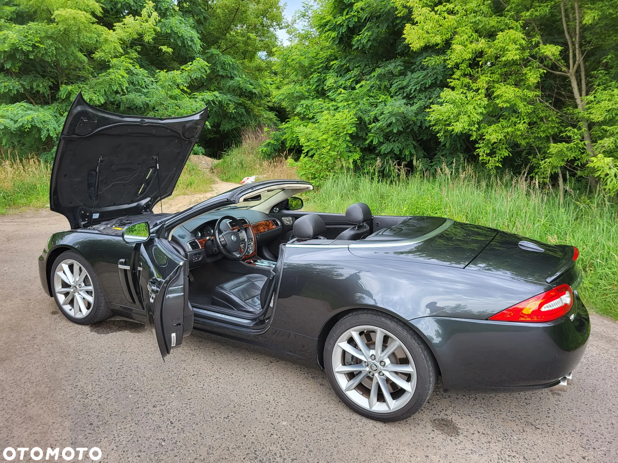 Jaguar XK XKR 5.0 Kompressor Cabriolet - 7