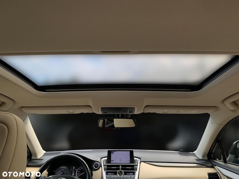 Lexus NX 300h Comfort AWD - 24