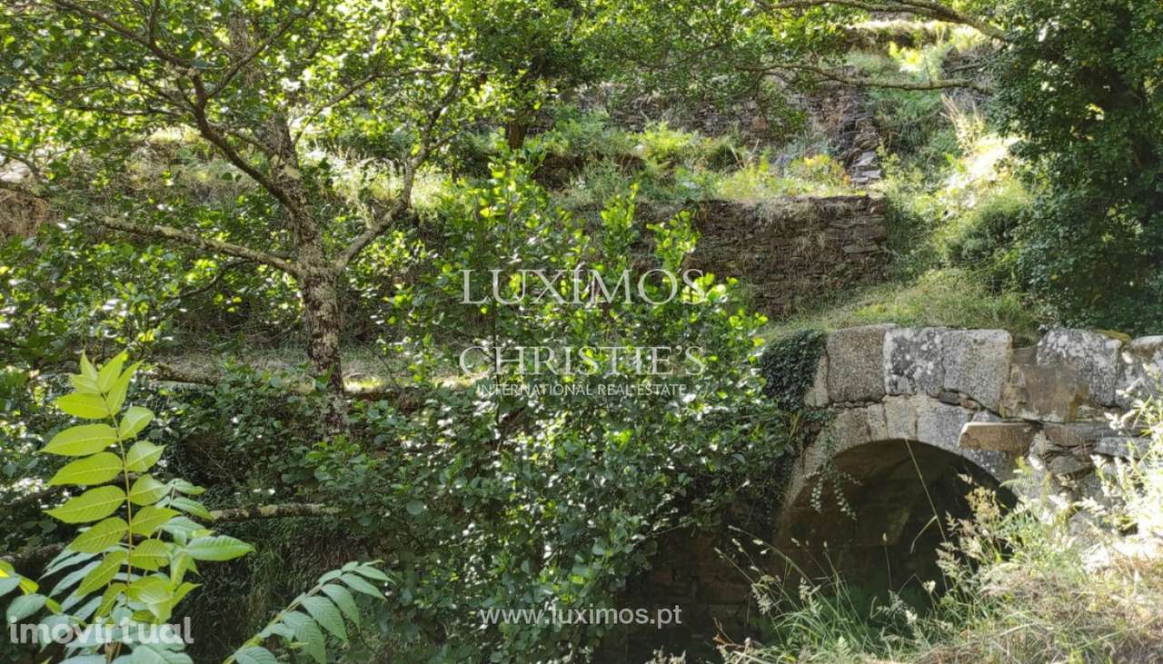 Venda de Aldeia com casas típicas em Arouca - Grande imagem: 4/30