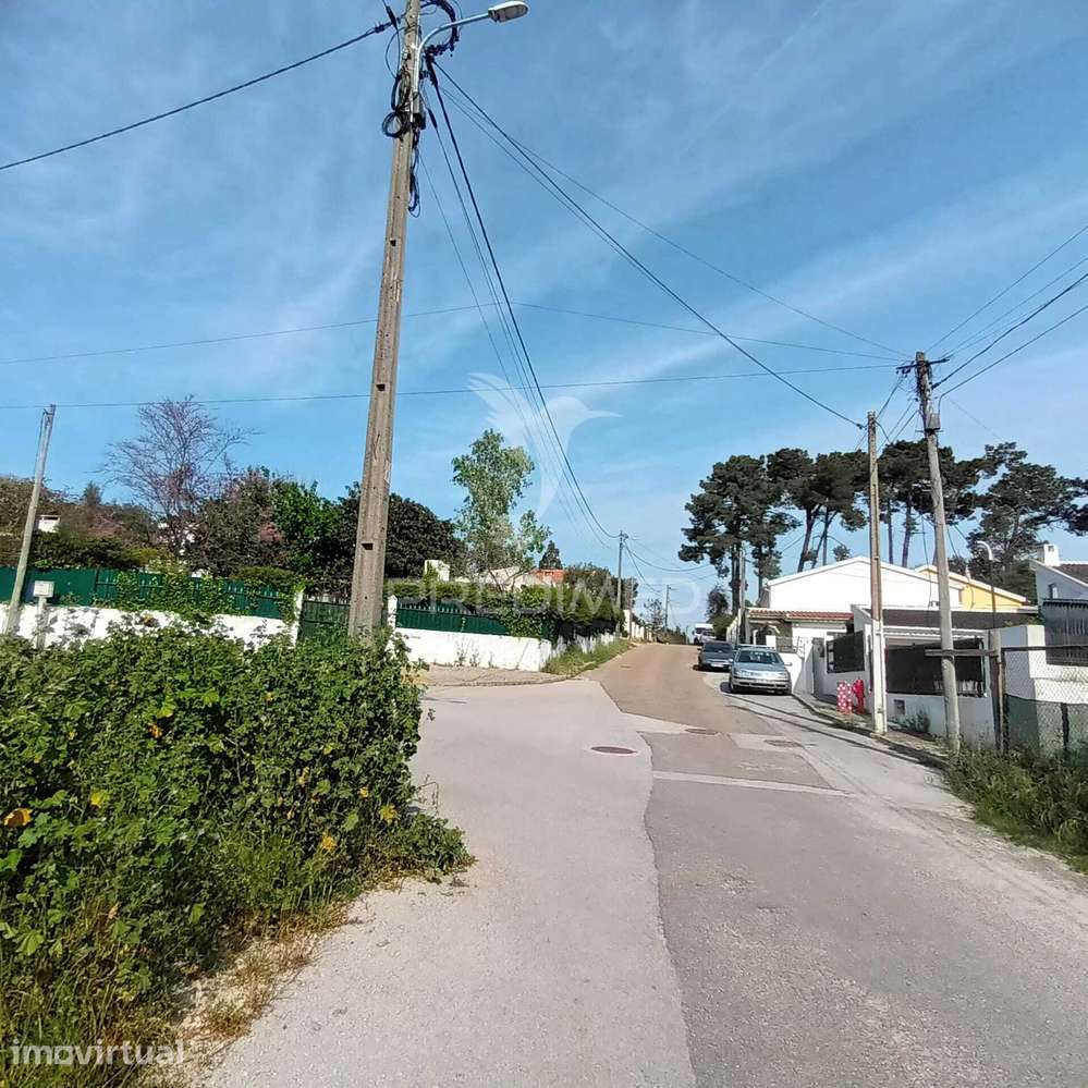 Lote para construção em Azeitão - Grande imagem: 5/22