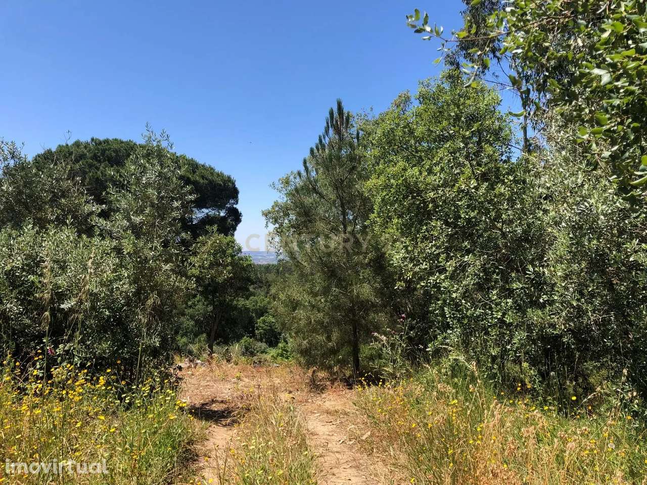 Terreno Rústico - Grande imagem: 2/6