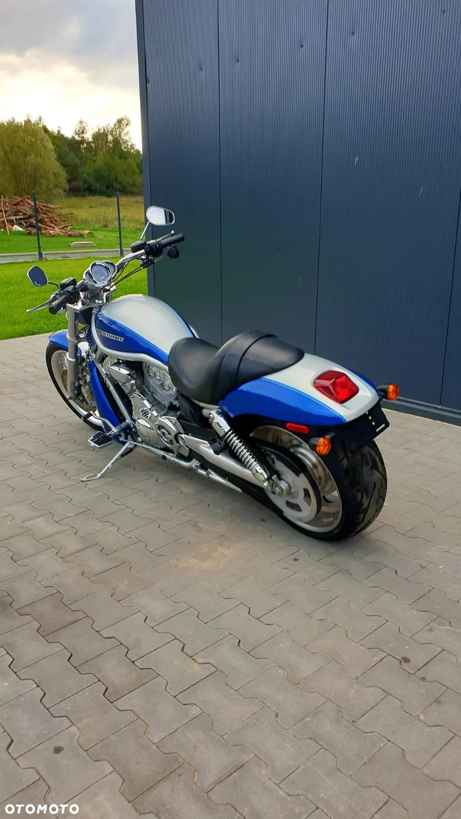 Harley-Davidson Softail V-Rod - 7