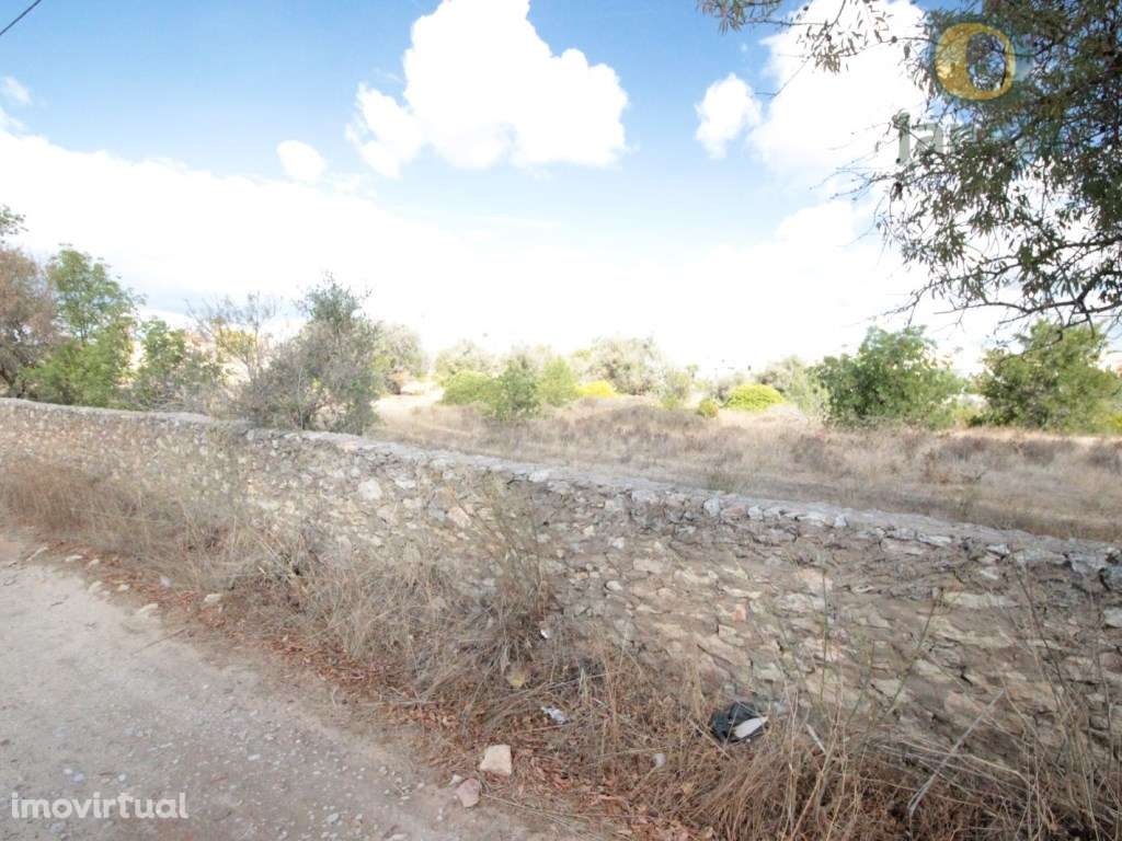 Terreno com 3,87 ha próximo de Armação de Pêra - Grande imagem: 4/6