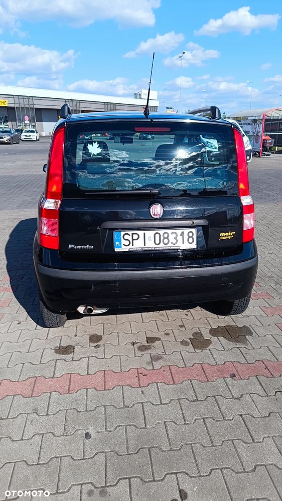 Fiat Panda - 8