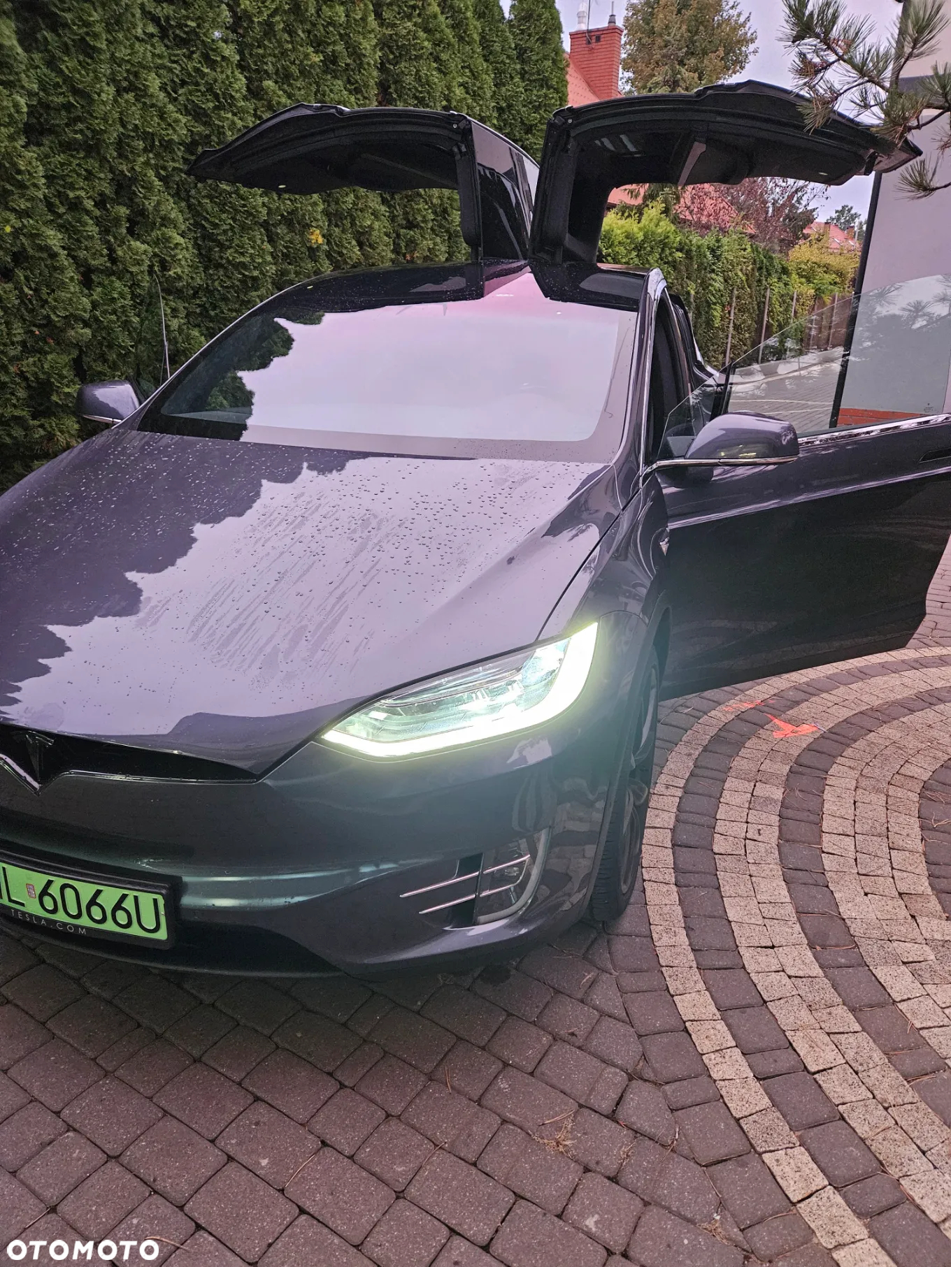 Tesla Model X P 100 D - 17