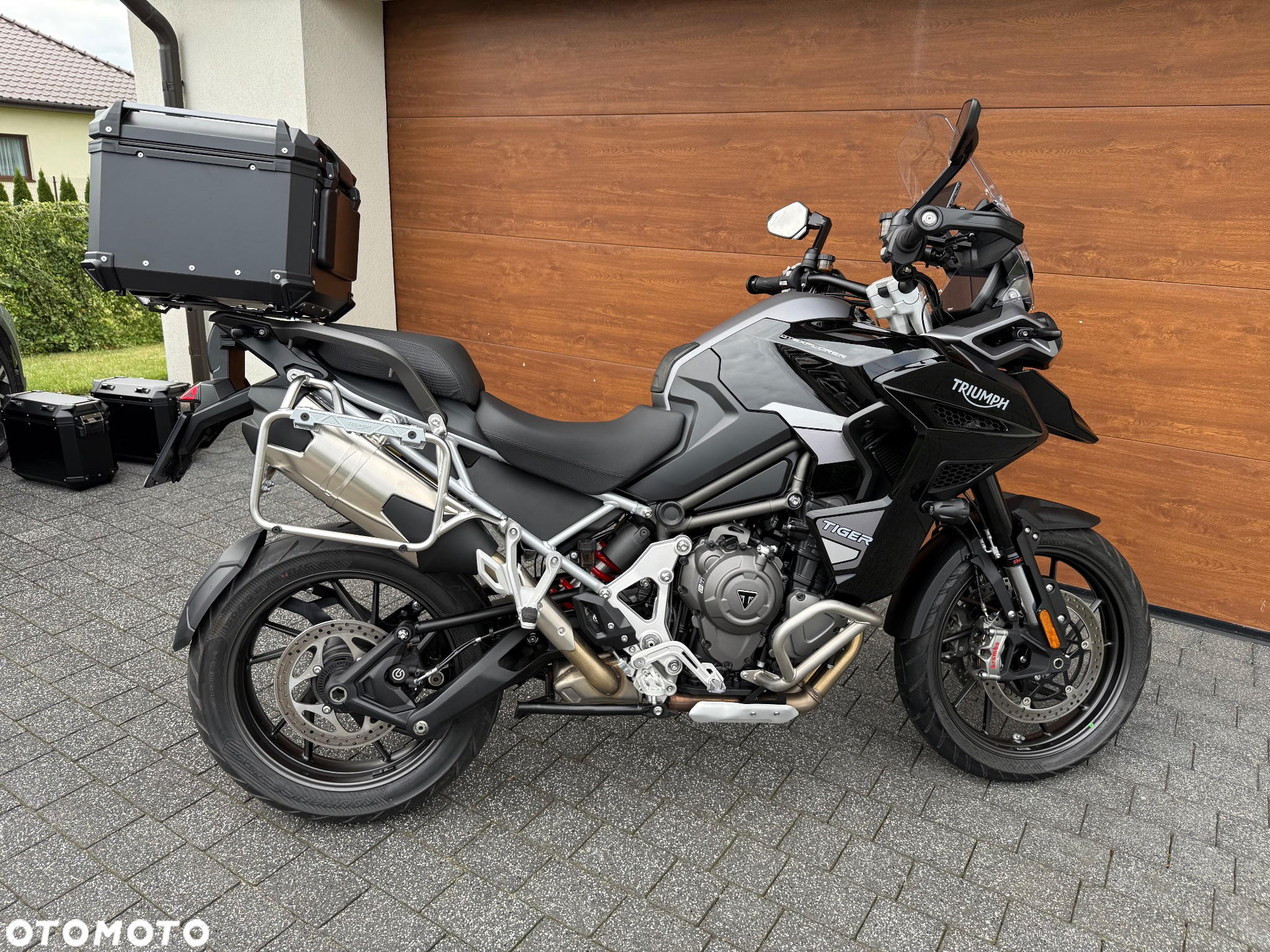 Triumph Tiger - 6