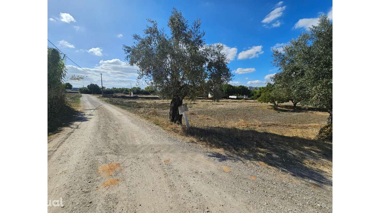 Quinta com rio em Torres Novas - Grande imagem: 5/42