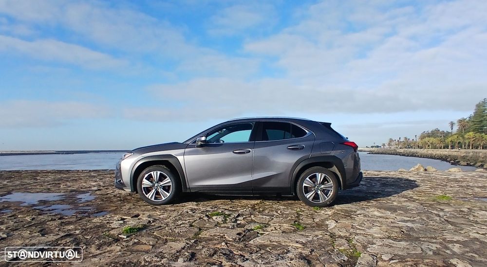 Lexus UX 300e Luxury+TAE+JLL18 - 4