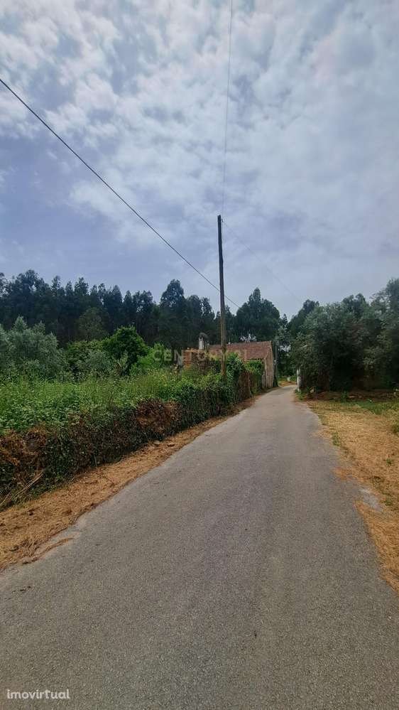 Quinta para venda perto de Dornes -Paio Mendes - Ferreira do Zezere - Grande imagem: 5/38