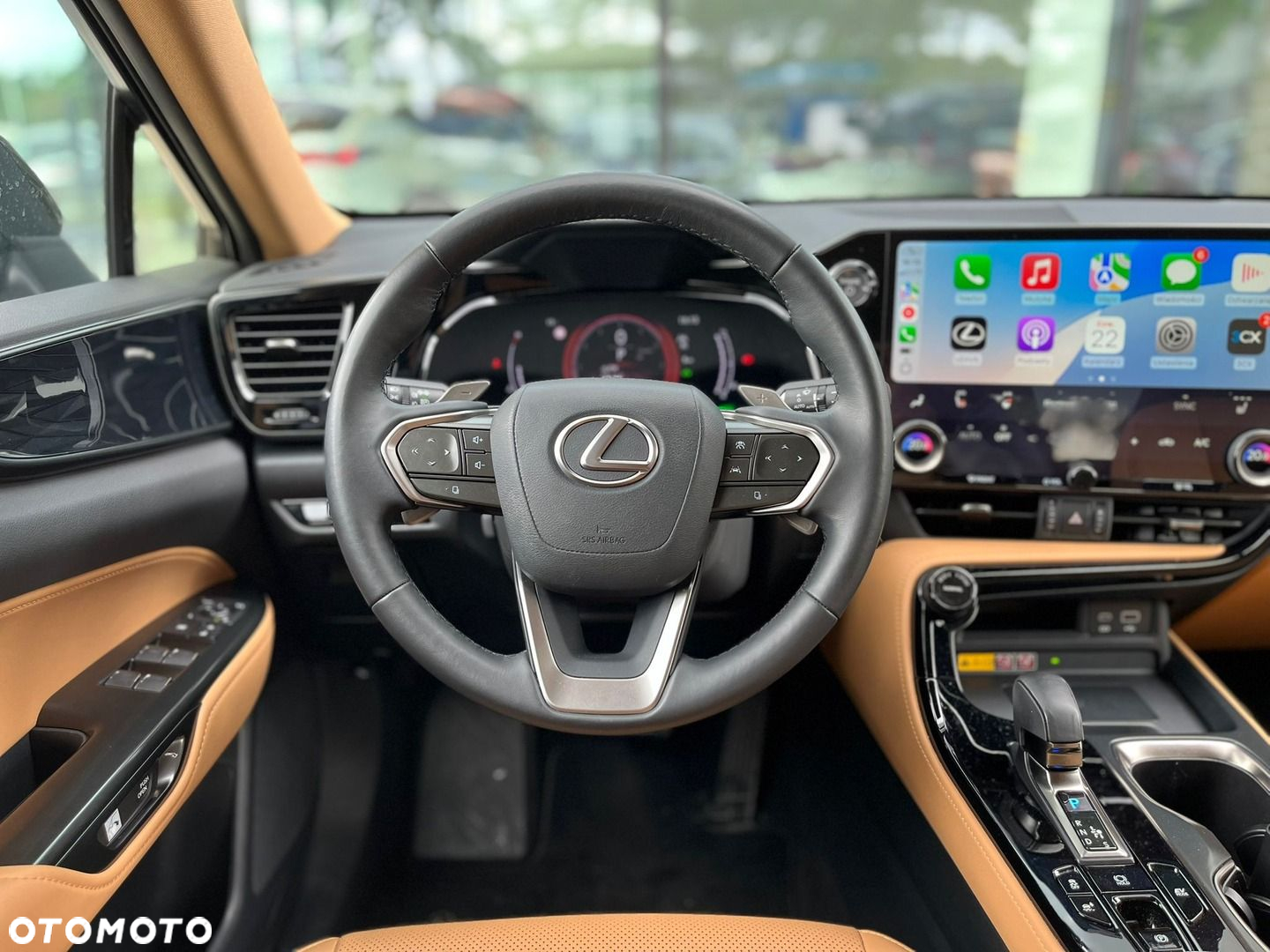 Lexus NX - 10