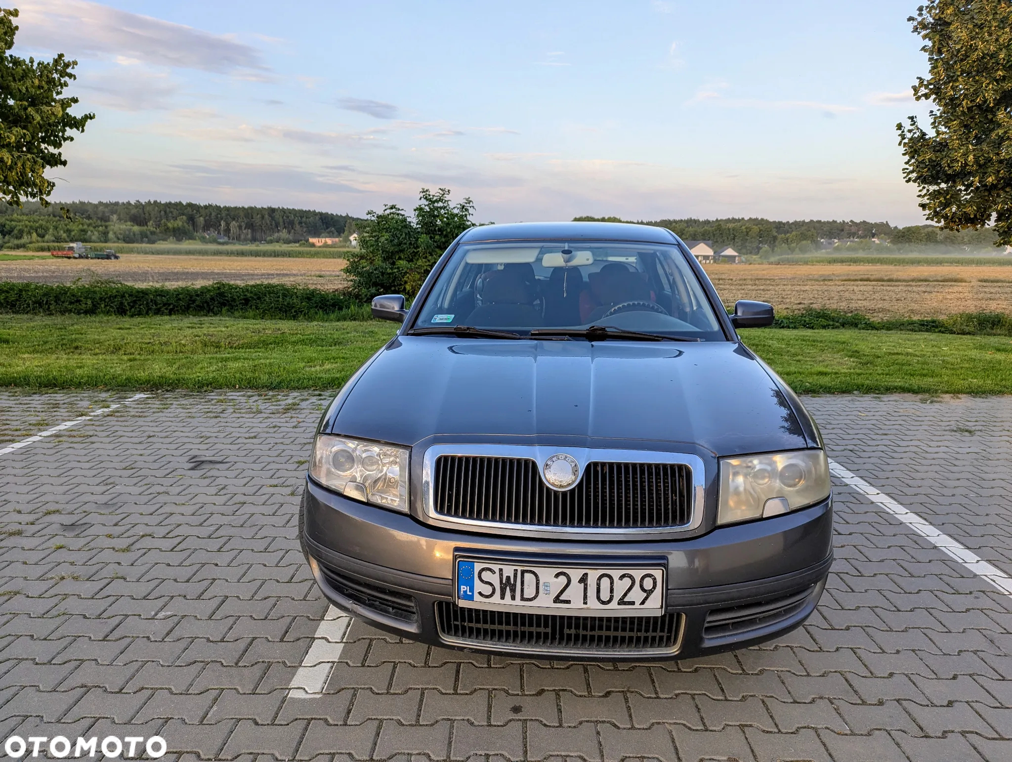Skoda Superb 1.9 TDI Elegance - 8