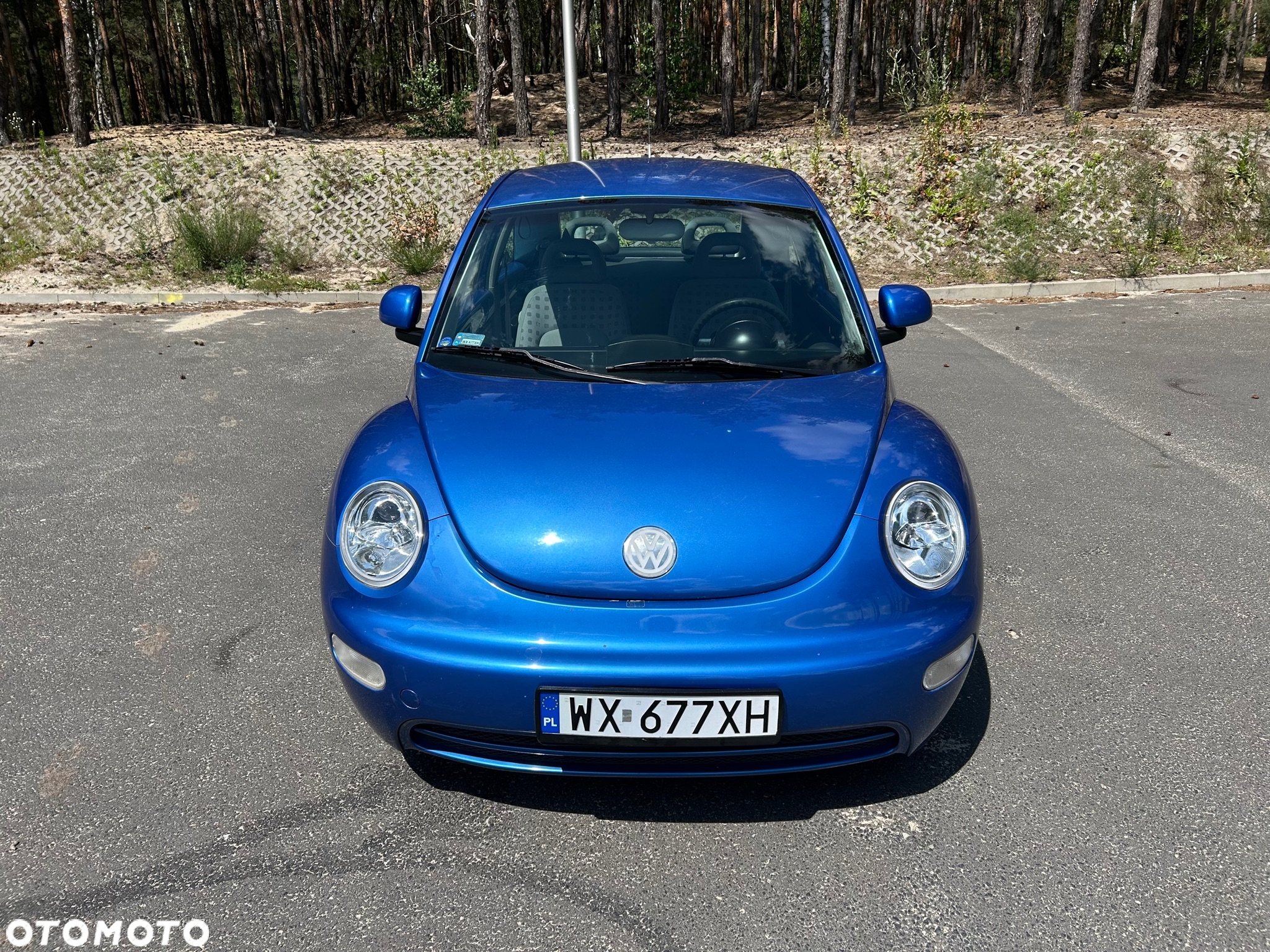 Volkswagen New Beetle 2.0 - 13