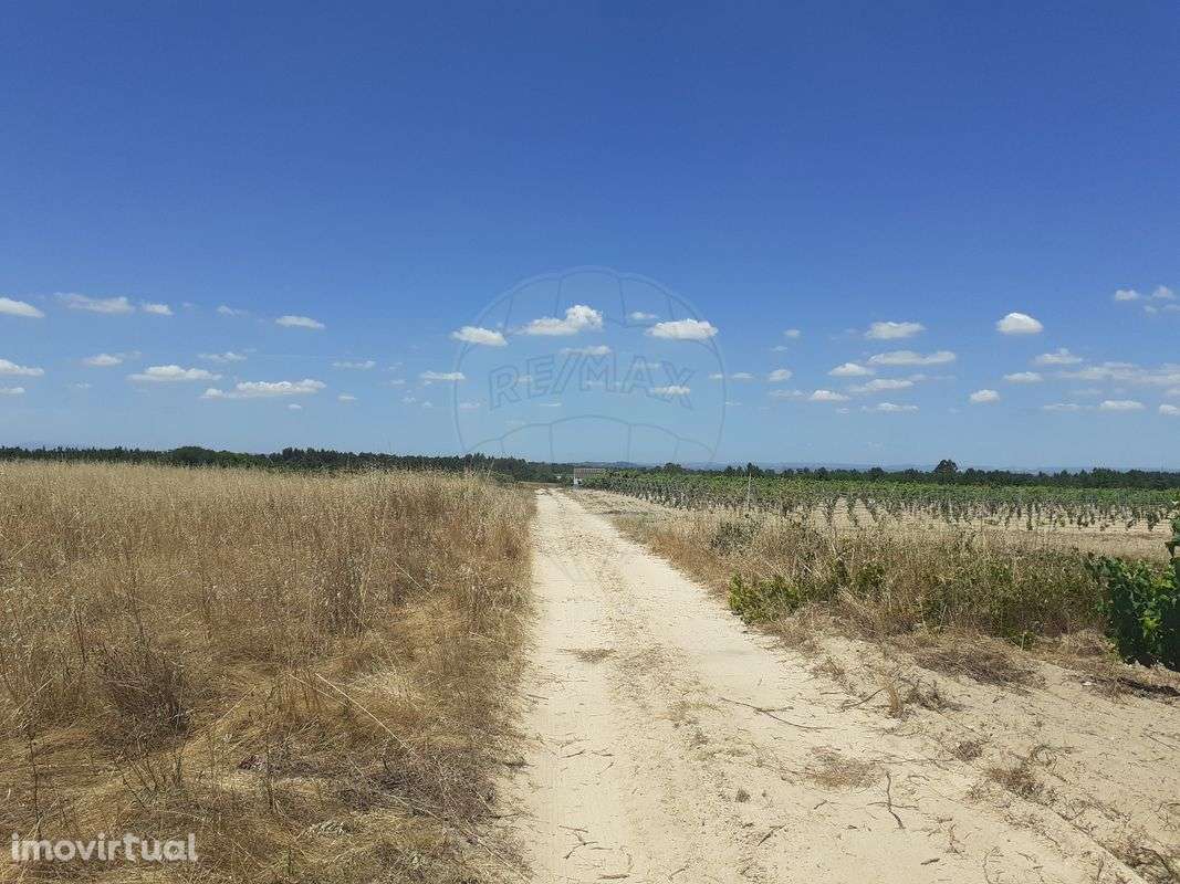 Terreno  para venda - Grande imagem: 2/4