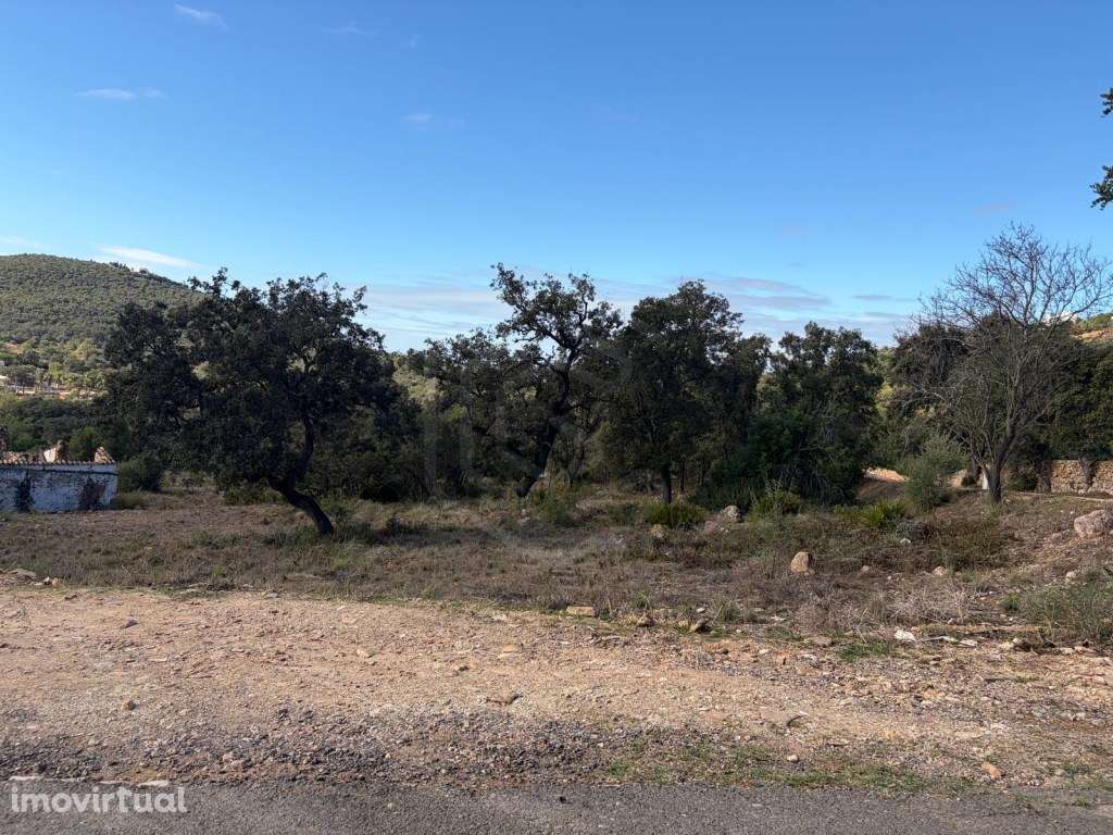 Terreno de 12.000m² com Projeto Aprovado para Moradia e Piscina na ... - Grande imagem: 5/21