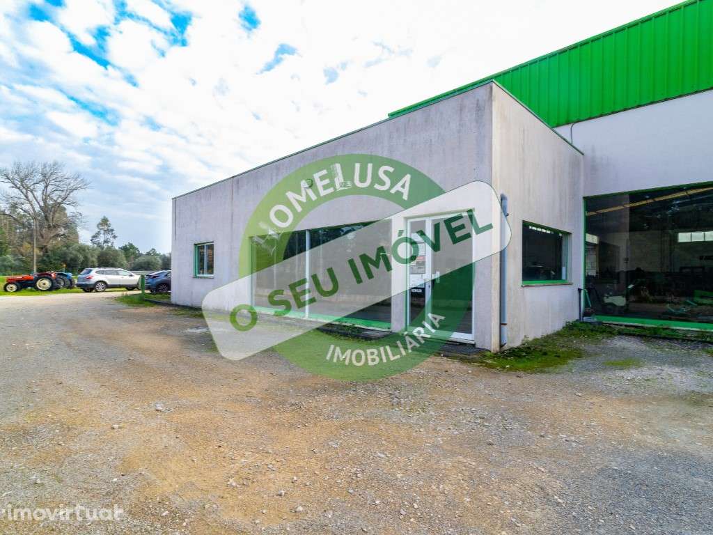 Vende-se Armazém em Cantanhede - Grande imagem: 3/20