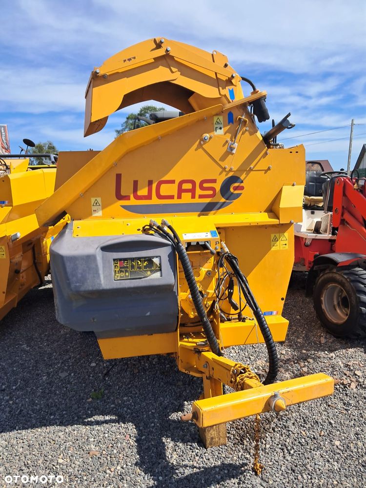 Inny Lucas G Castor R+ 30 - 2