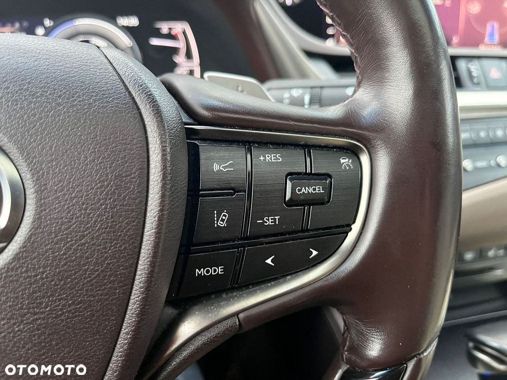Lexus ES 300h Omotenashi - 27