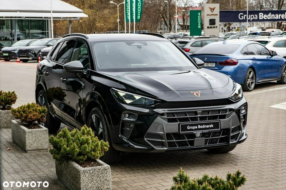 Cupra Terramar - 7