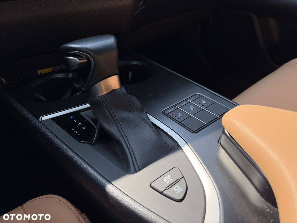 Lexus UX 250h GPF F Sport Design 2WD - 16