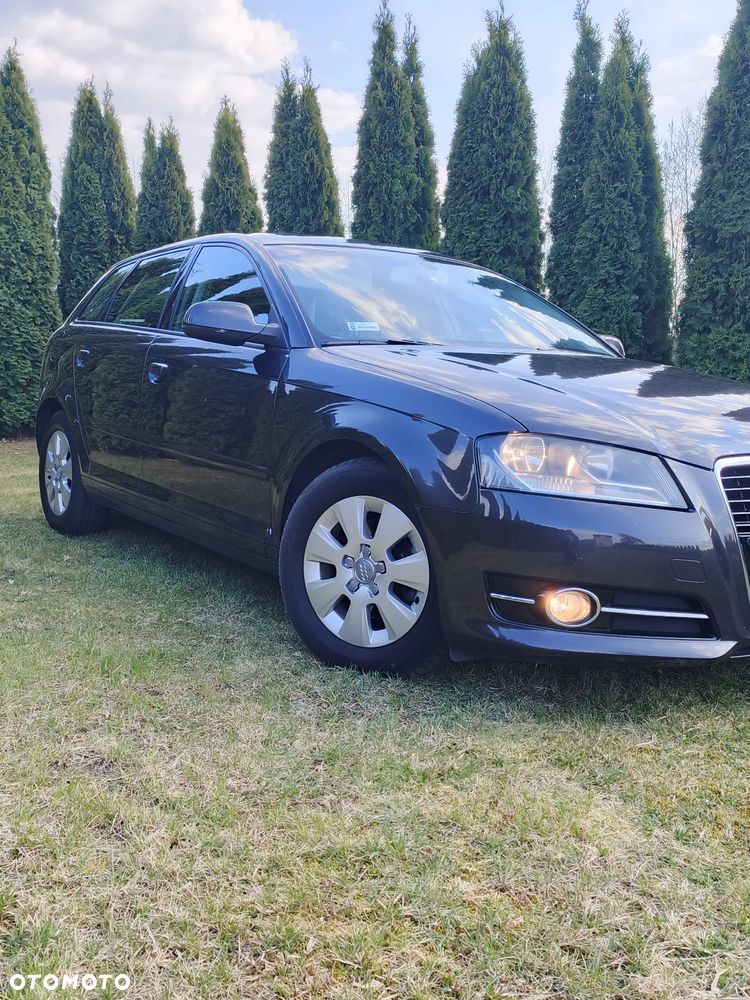 Audi A3 Sportback 1.6 TDI Attraction - 20