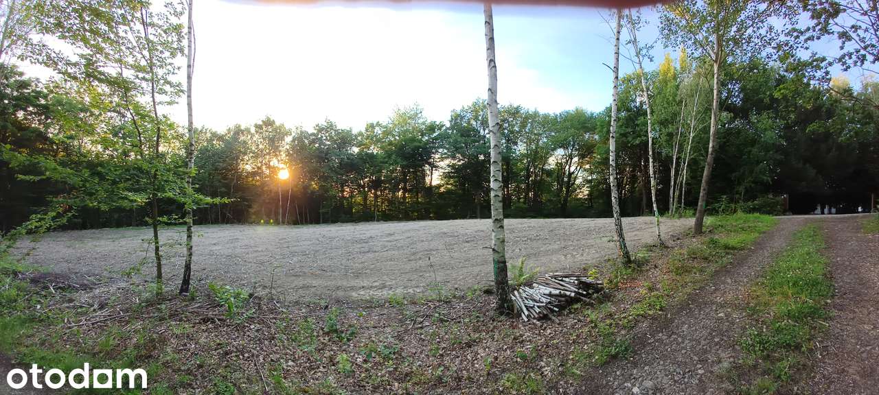 Malownicza działka budowlana | Cisza, natura | 31 km od Krakowa - Pełny obrazek: 2/6