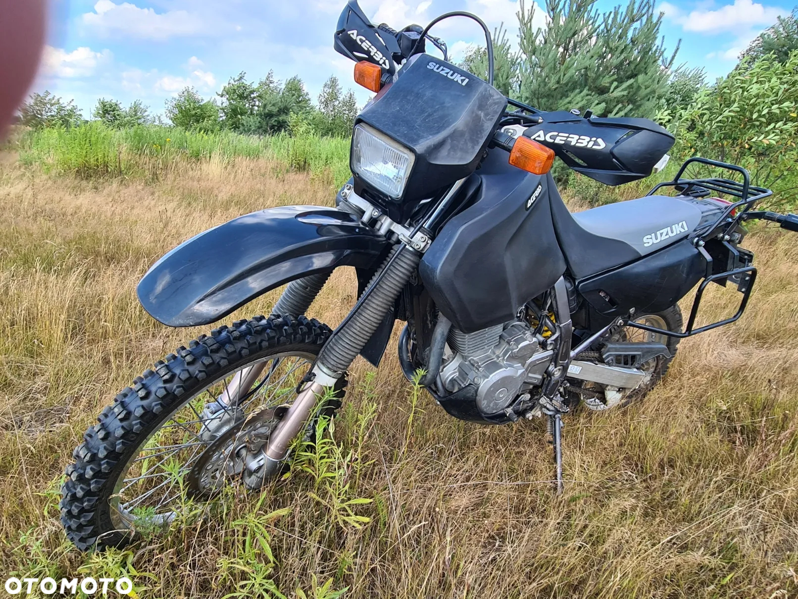 Suzuki DR