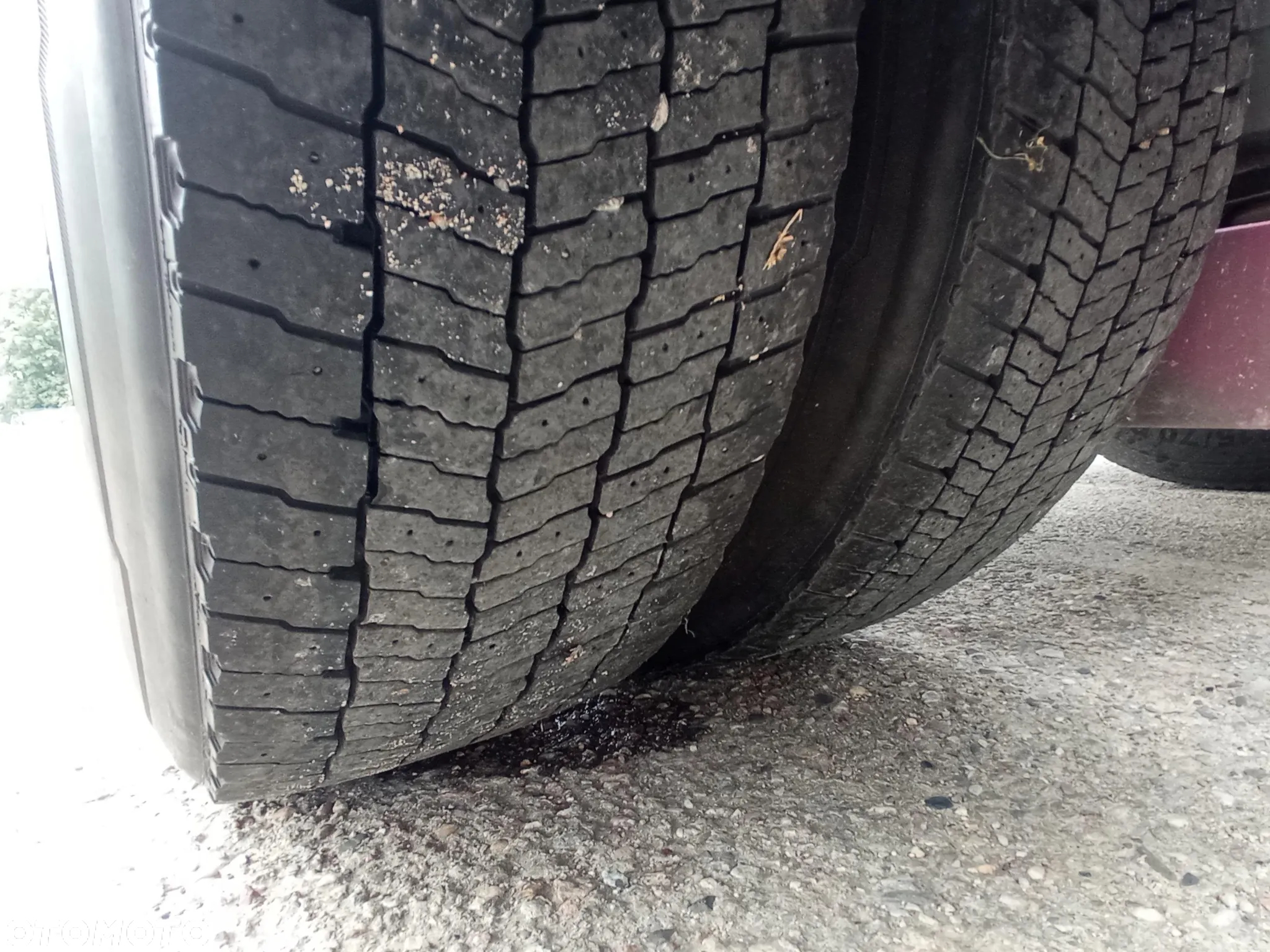 Mercedes-Benz ACTROS 1848 480KM Duży Motor ACC/PPC/EcoRoll/StreamSpace - 19