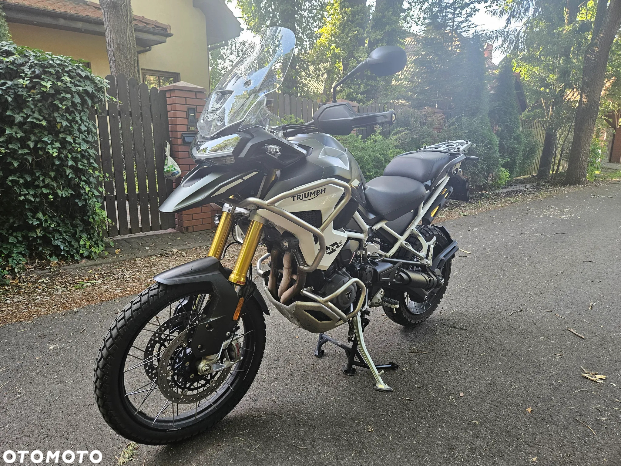 Triumph Tiger - 3