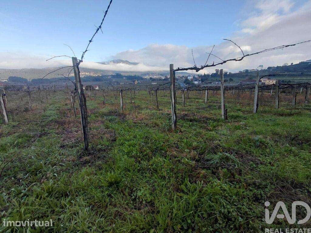 Terreno em Messegães, Valadares e Sá - Grande imagem: 4/6