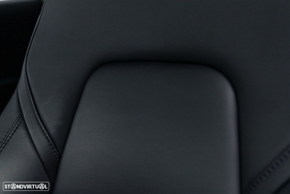 Tesla Model 3 Standard RWD Plus - 17