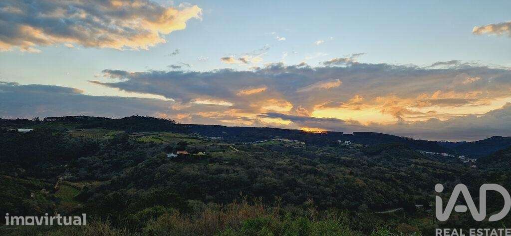 Terreno em Mafra de 1375,00 m2 - Grande imagem: 4/21