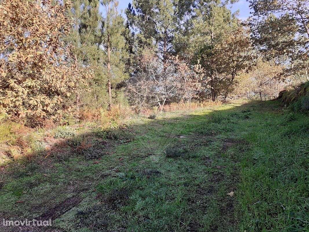 Terreno  para venda - Grande imagem: 4/9