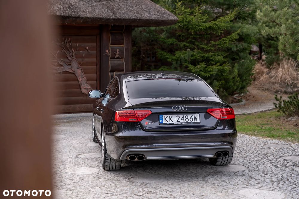 Audi S5 Sportback 3.0 TFSI Quattro S tronic - 19