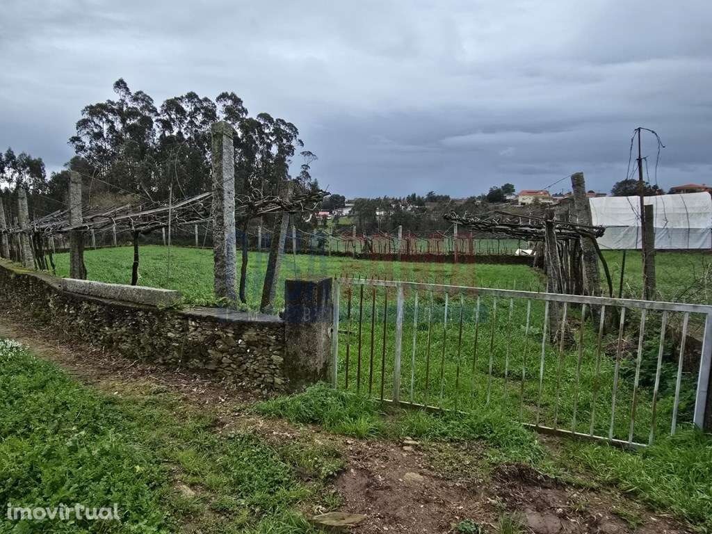 Terreno Agrícola em Fradelos - Excelente Oportunidade! - Grande imagem: 4/4