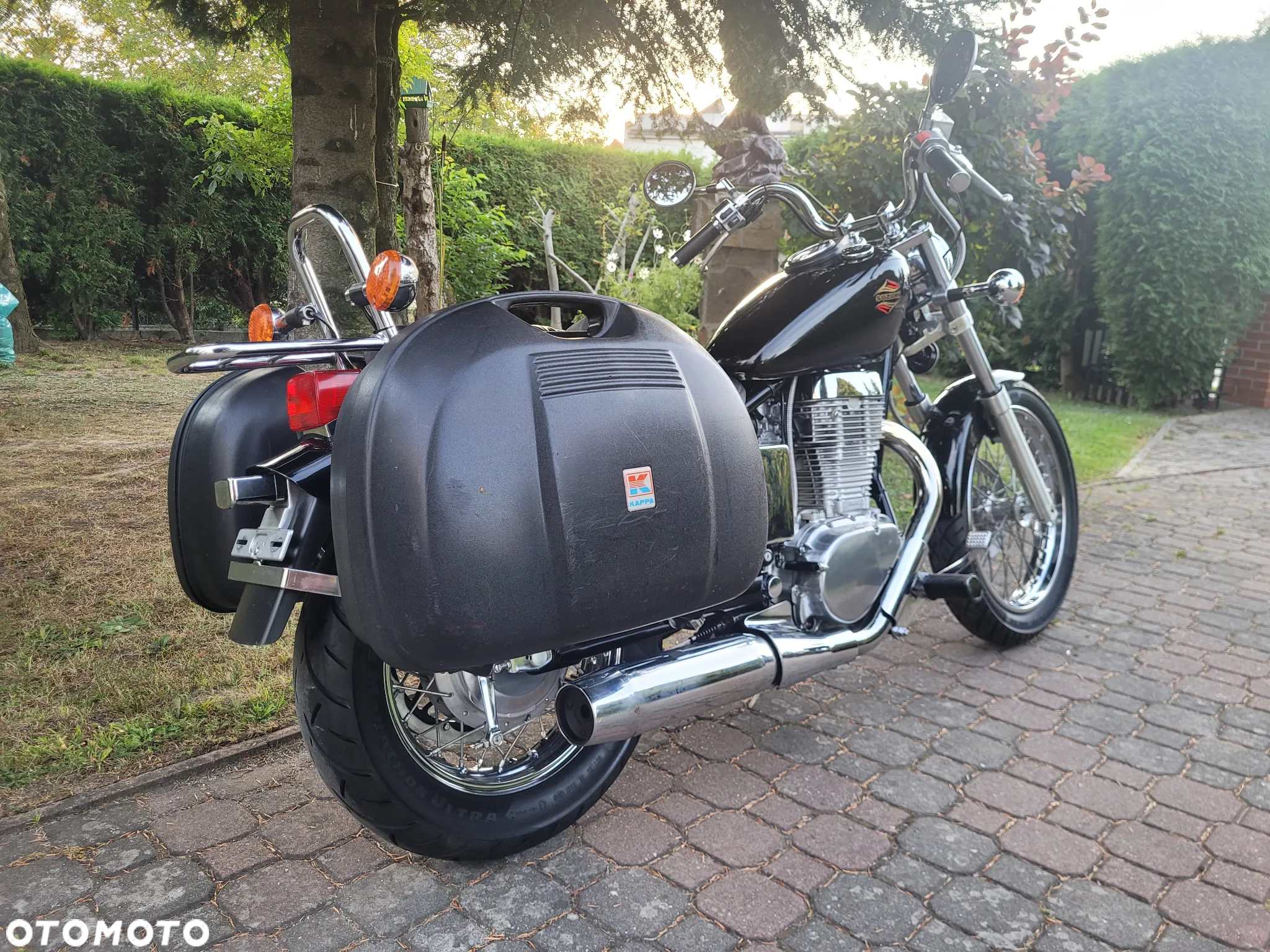 Suzuki Savage - 11