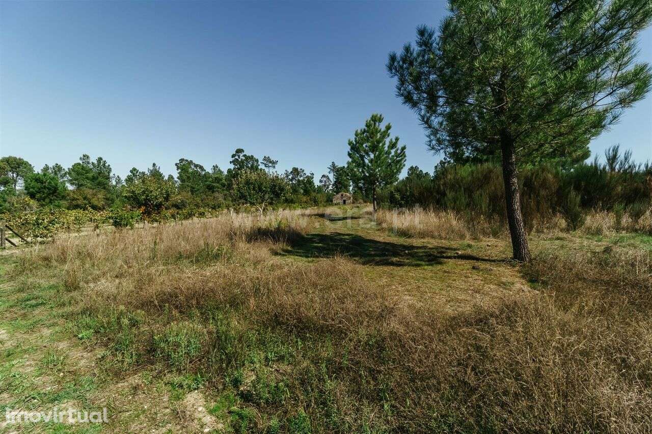 Quintinha / Gouveia, Ribamondego - Grande imagem: 4/12