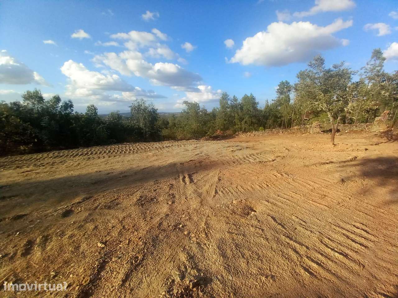 Terreno em Benquerenças, Castelo Branco - 2800m² - Grande imagem: 3/12