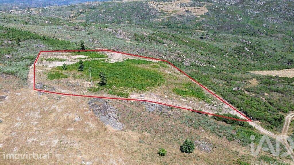 Terreno Agrícola em Vila Chã - Grande imagem: 2/17