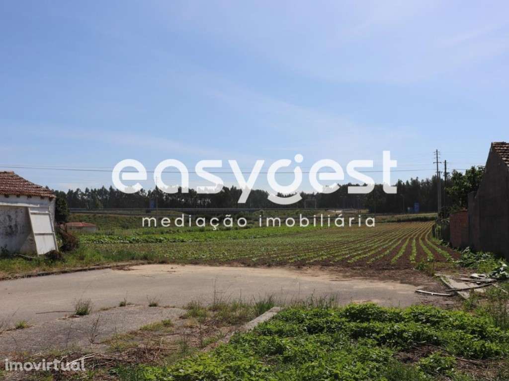 Terreno Rústico com viabilidade de construção no Louriçal - Grande imagem: 2/11