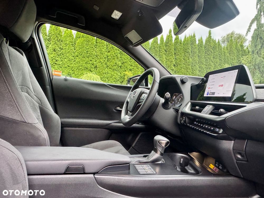 Lexus UX 250h F Sport 2WD - 19