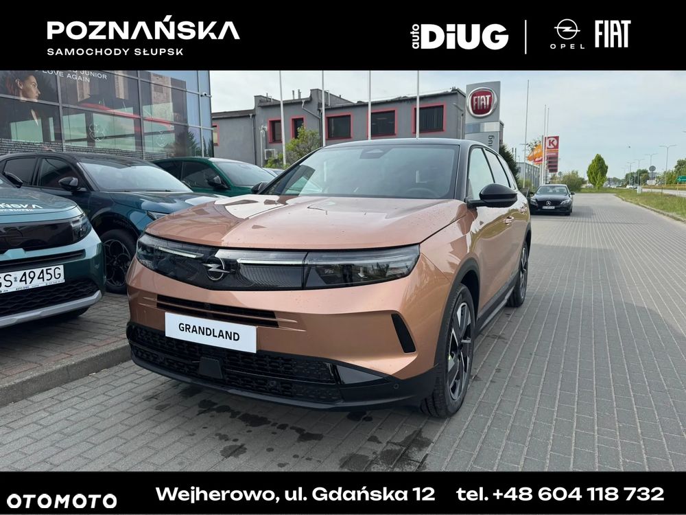 Opel Grandland X